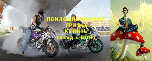 сатива Белоозёрский