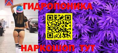 ECSTASY Заволжье