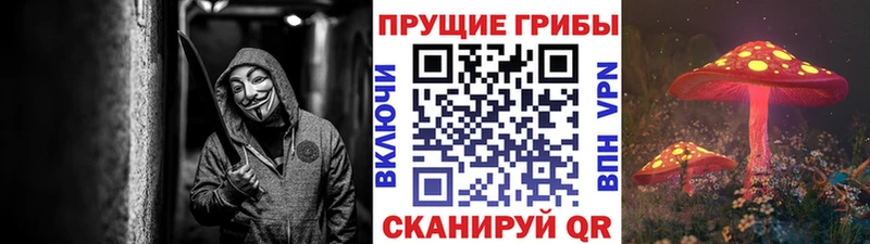 Галлюциногенные грибы GOLDEN TEACHER  Бутурлиновка 